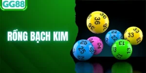 Rồng Bạch Kim Là Gì? Bí Quyết Soi Cầu Chuẩn Xác 2026